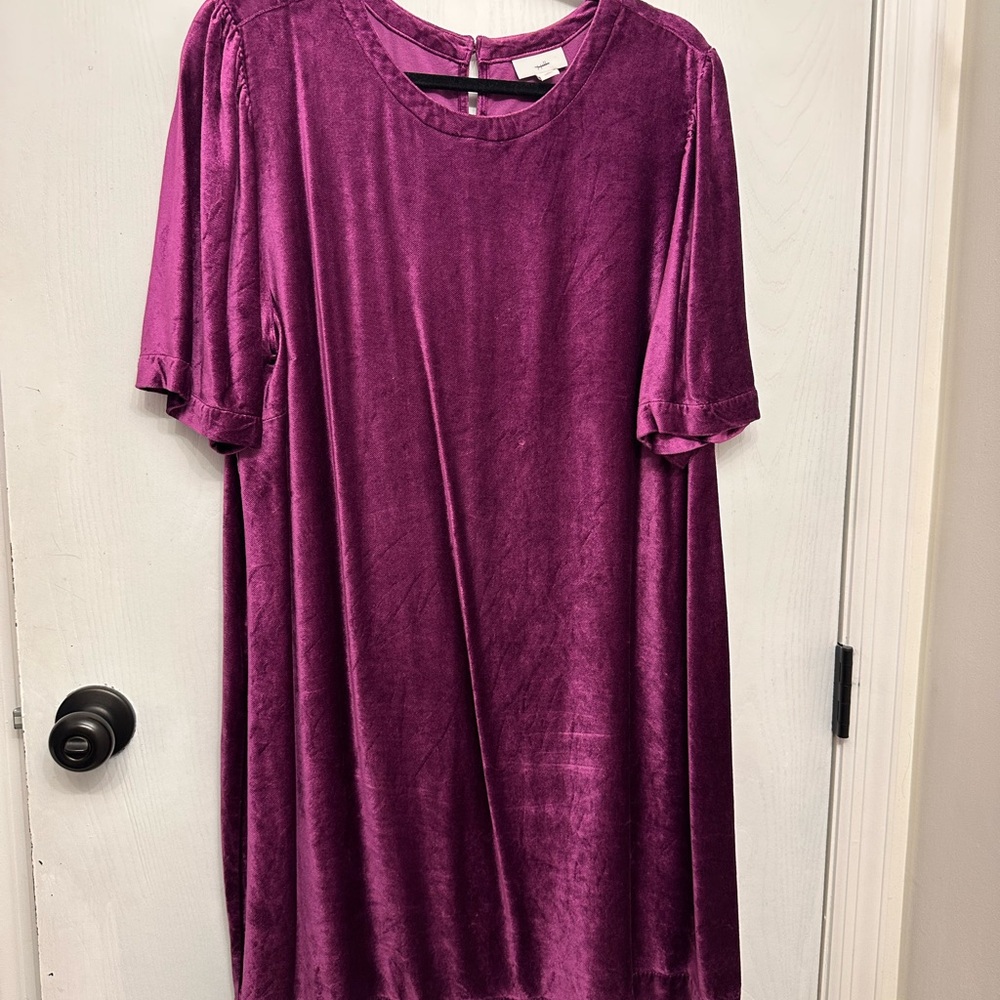 J. Jill Purple Velvet Mini Dress